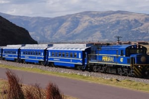 From Cusco: Travel to Machu Picchu with Vistadome train and private guide