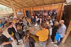 From Cusco: Vinicunca Rainbow Mountain ATV Tour with Meals