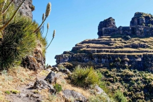 Z Cusco | Waqrapukara, twierdza Inków w kształcie rogu