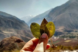 From Cuzco: City Tour Cusco with Andean Spiritual Guide