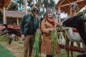 Von Cuzco: Tour ins Heilige Tal mit Webworkshop & Mittagessen