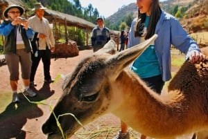 Von Cuzco: Tour ins Heilige Tal mit Webworkshop & Mittagessen