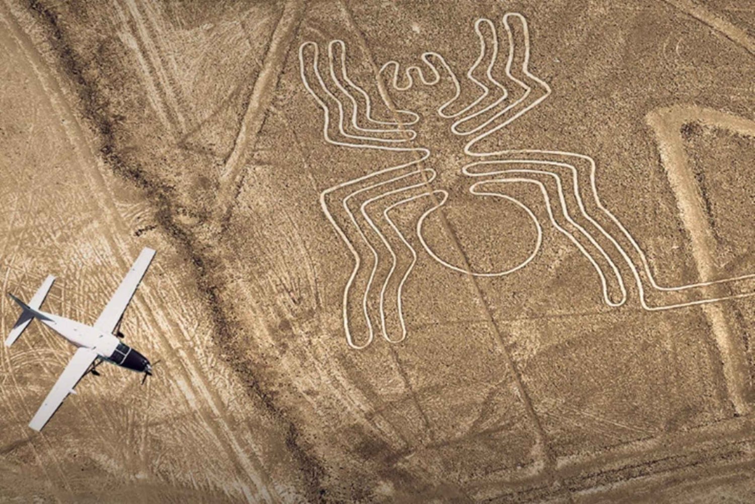 From Huacachina: 1-day excursion with a flight over the Nazca Lines