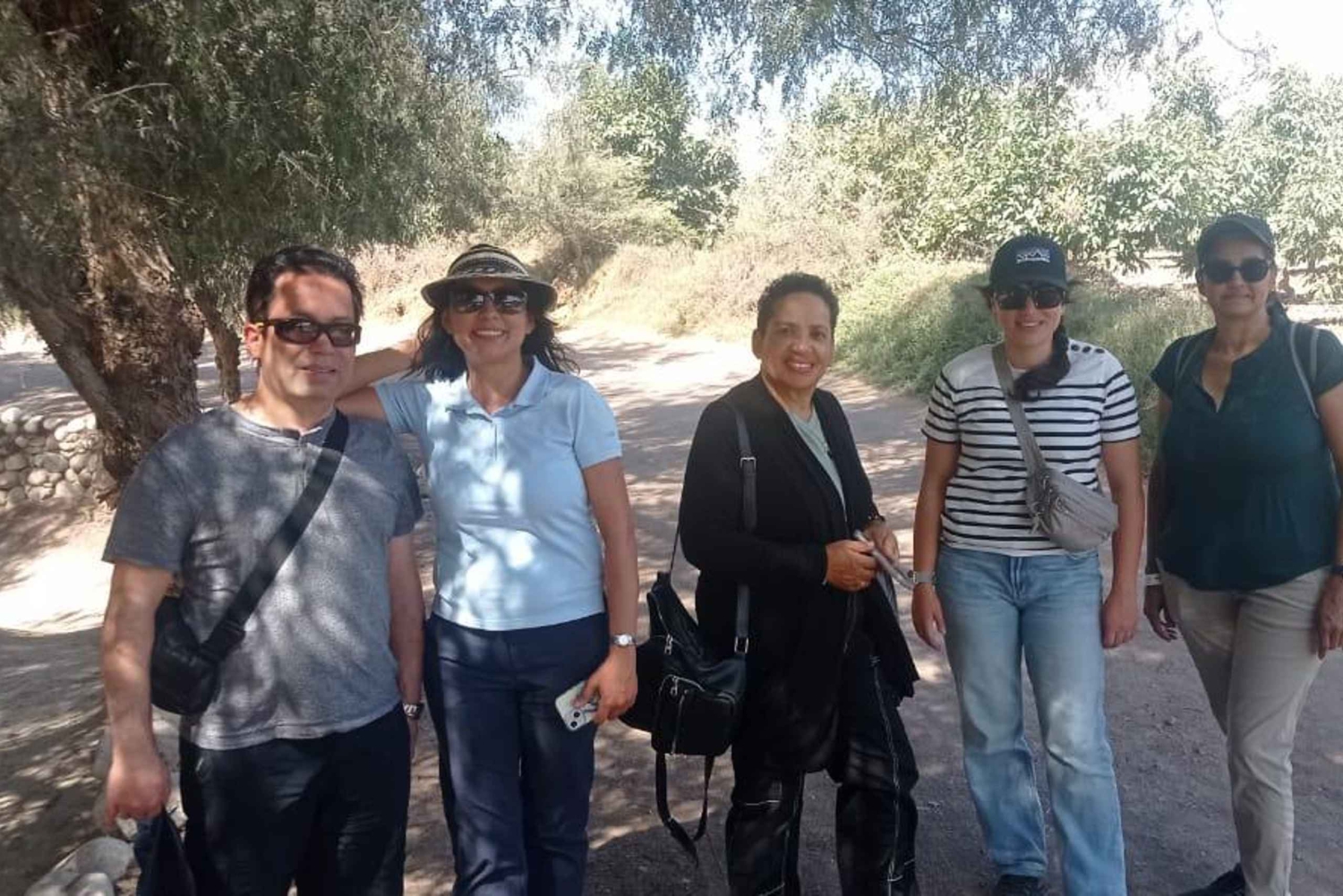 From Huacachina: 1-day excursion with a flight over the Nazca Lines