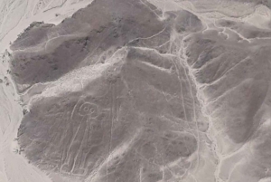 From Huacachina: 1-day excursion with a flight over the Nazca Lines