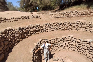 From Huacachina: 1-day excursion with a flight over the Nazca Lines