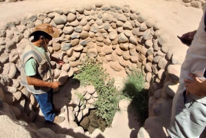 From Huacachina: 1-day excursion with a flight over the Nazca Lines