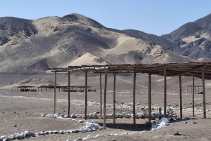 From Huacachina: 1-day excursion with a flight over the Nazca Lines