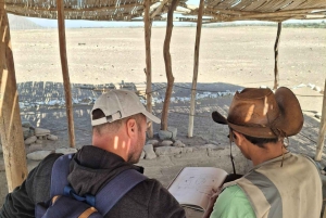 From Huacachina: 1-day excursion with a flight over the Nazca Lines