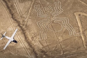 Från Huacachina: 1-dagars utflykt med flyg över Nazcalelinjerna