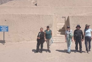 ワカチナ発：ナスカの地上絵上空飛行を含む1日ツアー