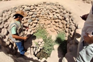 ワカチナ発：ナスカの地上絵上空飛行を含む1日ツアー