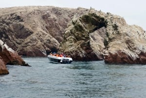 Von Huacachina aus: Ballestas und Paracas Reservat - GRUPPENTOUR