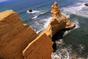 Von Huacachina aus: Ballestas und Paracas Reservat - GRUPPENTOUR