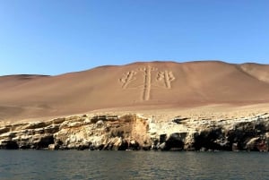 Von Huacachina aus: Ballestas und Paracas Reservat - GRUPPENTOUR
