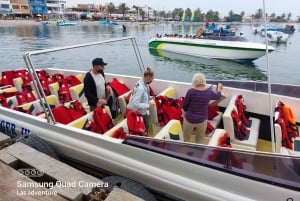 Von Huacachina aus: Ballestas und Paracas Reservat - GRUPPENTOUR