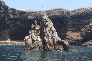 Von Huacachina aus: Ballestas und Paracas Reservat - GRUPPENTOUR