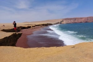 Von Huacachina aus: Ballestas und Paracas Reservat - GRUPPENTOUR