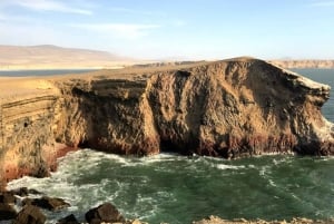 Von Huacachina aus: Ballestas und Paracas Reservat - GRUPPENTOUR