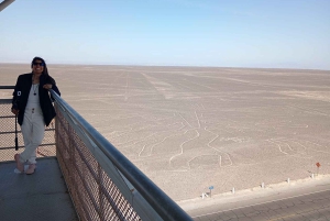 FRA HUACACHINA: Heldags Nazca Line + landtur