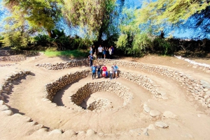 FRA HUACACHINA: Heldags Nazca Line + landtur