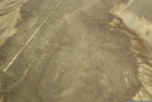 From Huacachina: Scenic Flight over the Nazca Lines