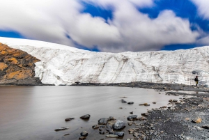 Von Huaraz aus: Gletscher Pastoruri und Puya Raimondi Tagestour