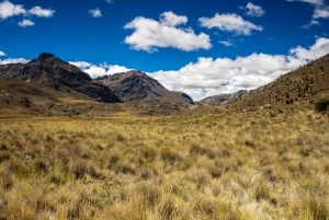 Von Huaraz aus: Gletscher Pastoruri und Puya Raimondi Tagestour
