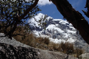 From Huaraz: Private Hike of Laguna Churup with Packed Lunch