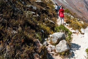 Z Huaraz: malownicza przygoda do magicznej laguny Parón