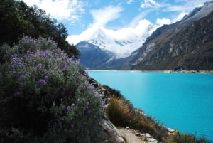 Z Huaraz: malownicza przygoda do magicznej laguny Parón