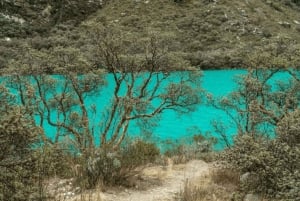 Från Huaraz: Tur till Llanganuco-sjöarna (Chinancocha-sjön)