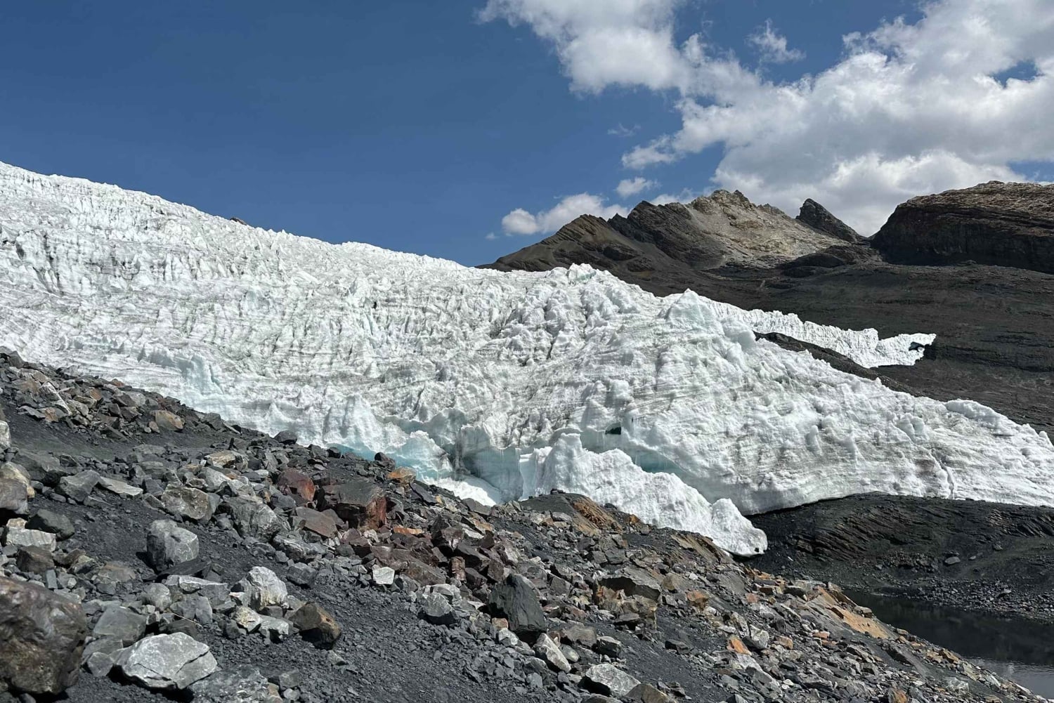 Z Huaraz: Wycieczka do lodowca Pastoruri i Puya Raimondi