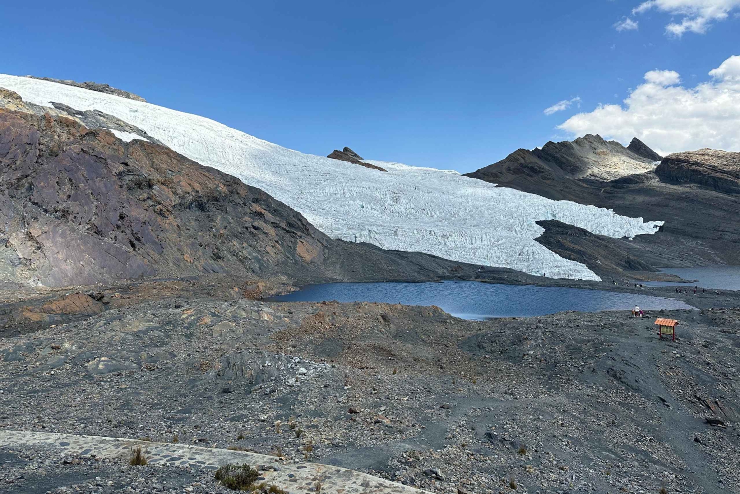 Z Huaraz: Wycieczka do lodowca Pastoruri i Puya Raimondi