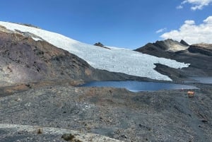 Z Huaraz: Wycieczka do lodowca Pastoruri i Puya Raimondi
