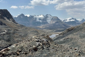 Z Huaraz: Wycieczka do lodowca Pastoruri i Puya Raimondi