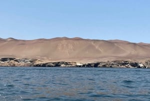 Vanuit Ica of Huacachina: Ballestas-eilanden en Nationaal Reservaat Paracas.