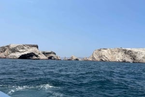 Vanuit Ica of Huacachina: Ballestas-eilanden en Nationaal Reservaat Paracas.