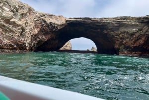 Vanuit Ica of Huacachina: Ballestas-eilanden en Nationaal Reservaat Paracas.