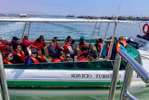 Vanuit Ica of Huacachina: Ballestas-eilanden en Nationaal Reservaat Paracas.