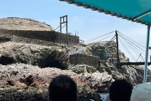 Vanuit Ica of Huacachina: Ballestas-eilanden en Nationaal Reservaat Paracas.