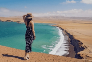 From Ica: Ballestas Islands and Paracas Tour - shared service