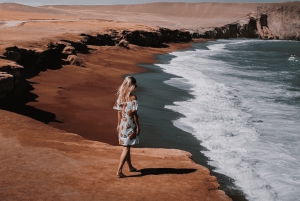 From Ica: Ballestas Islands and Paracas Tour - shared service