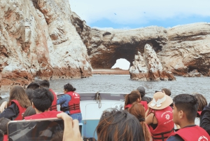 From Ica: Ballestas Islands and Paracas Tour - shared service