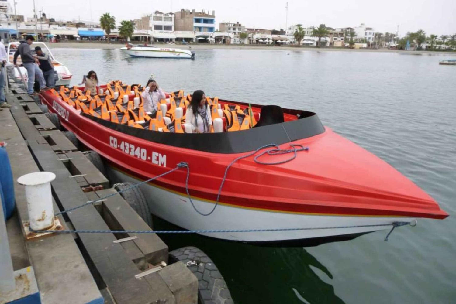 From Ica: Ballestas Islands & Paracas Reserve Round Trip