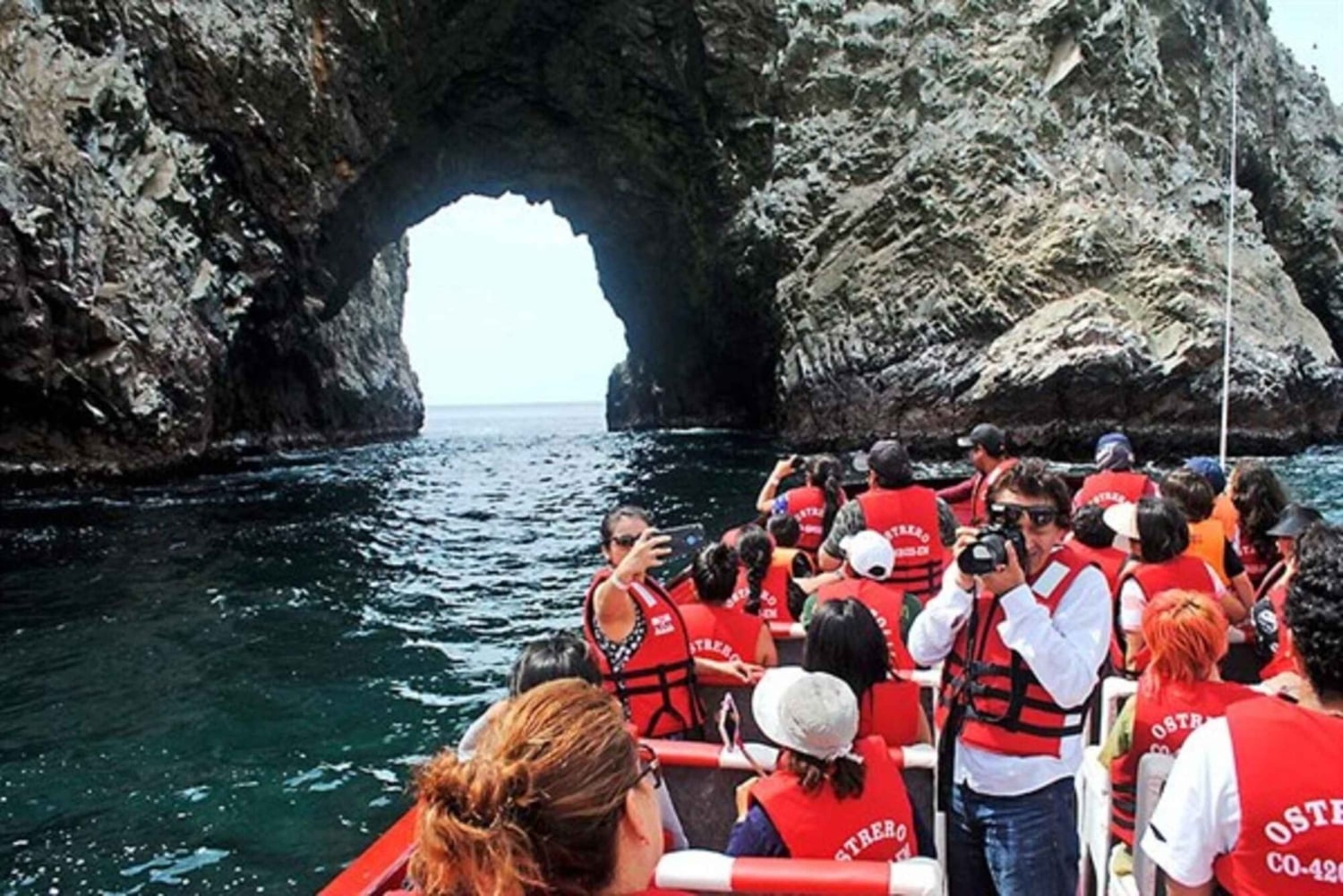 From Ica: Ballestas Islands & Paracas Reserve Round Trip