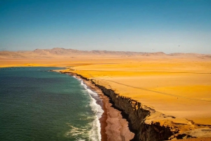 From Ica: Ballestas Islands & Paracas Reserve Round Trip