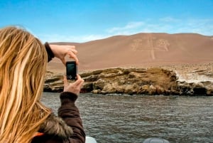 From Ica: Ballestas Islands & Paracas Reserve Round Trip