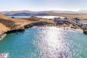 From Ica: Ballestas Islands & Paracas Reserve Round Trip