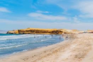 From Ica: Ballestas Islands & Paracas Reserve Round Trip